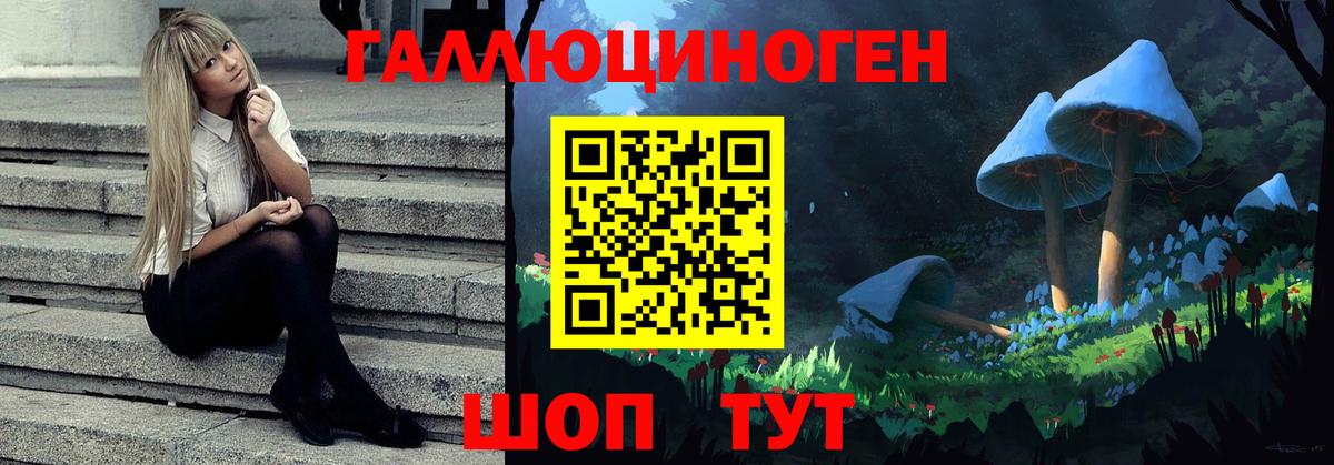 Псилоцибиновые грибы мухоморы Котлас